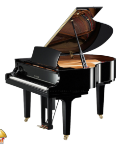 YAMAHA DC1X ENST PE GRAND PIANO