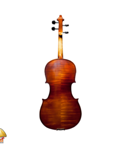 Synwin Viola SVA1005 Back