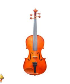 Synwin Violin SV3001S
