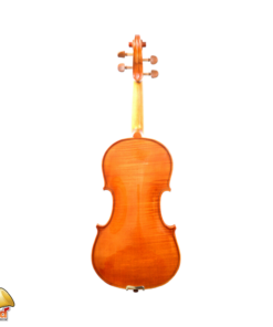 Synwin Violin SV3001S Back