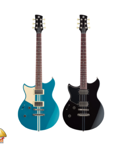 YAMAHA RSE20L