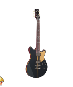 YAMAHA RSP20X 02