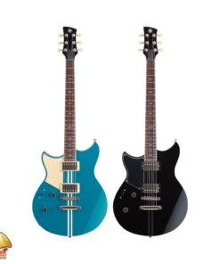 YAMAHA RSS20L