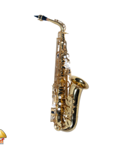 TAIGA ALTO SAXOPHONE TAS-T1 GL