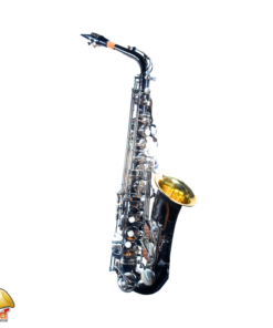 TAIGA TAS-T1 BL