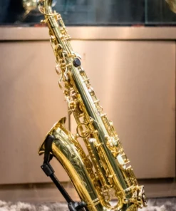 TAIGA TAS-T1GL 01