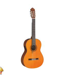 CGX102 Natural