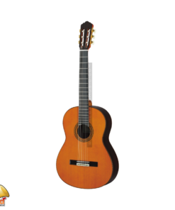 GC22C Natural