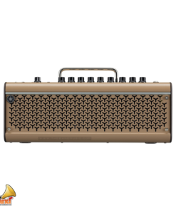 THR30IIA Wireless 02
