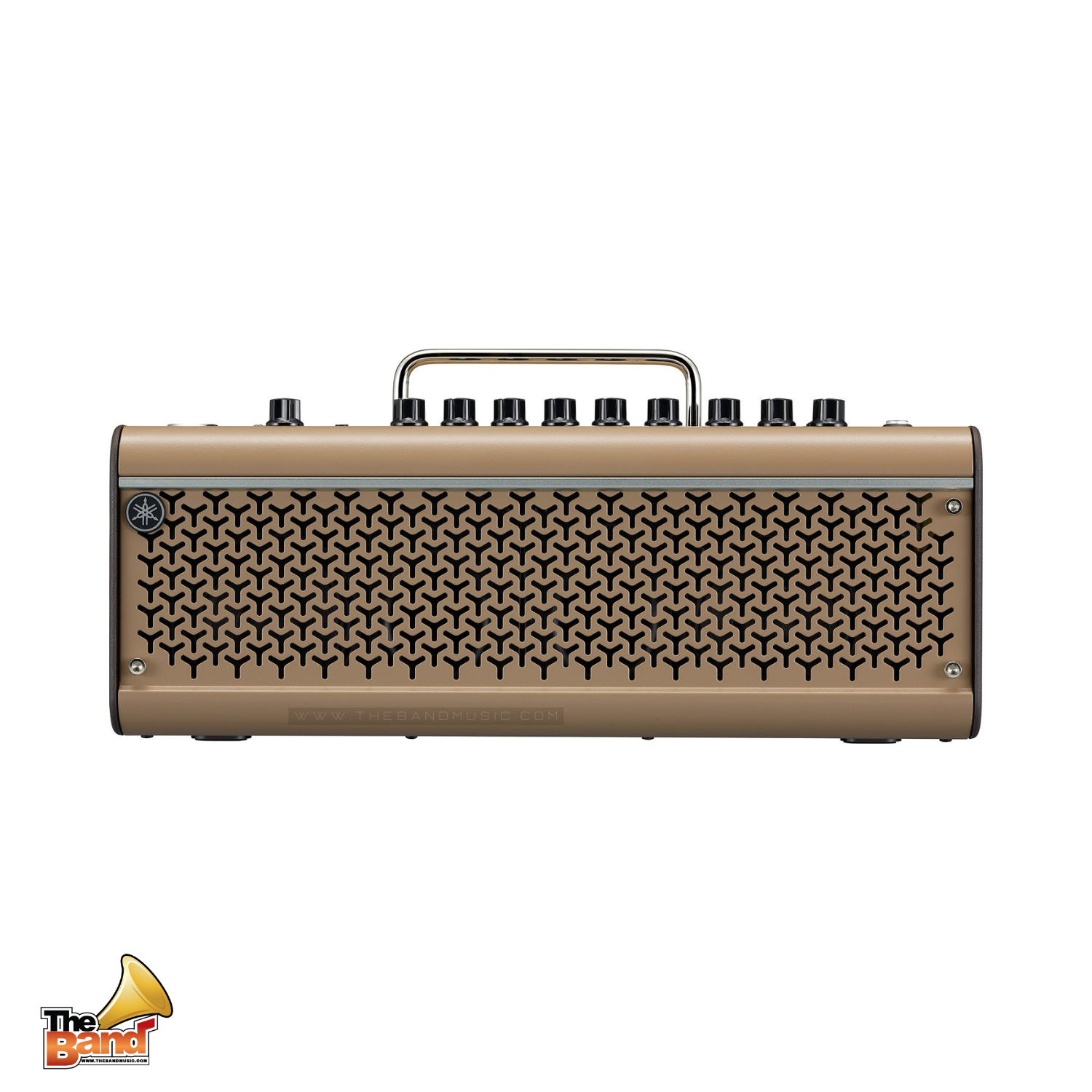 THR30IIA Wireless 02