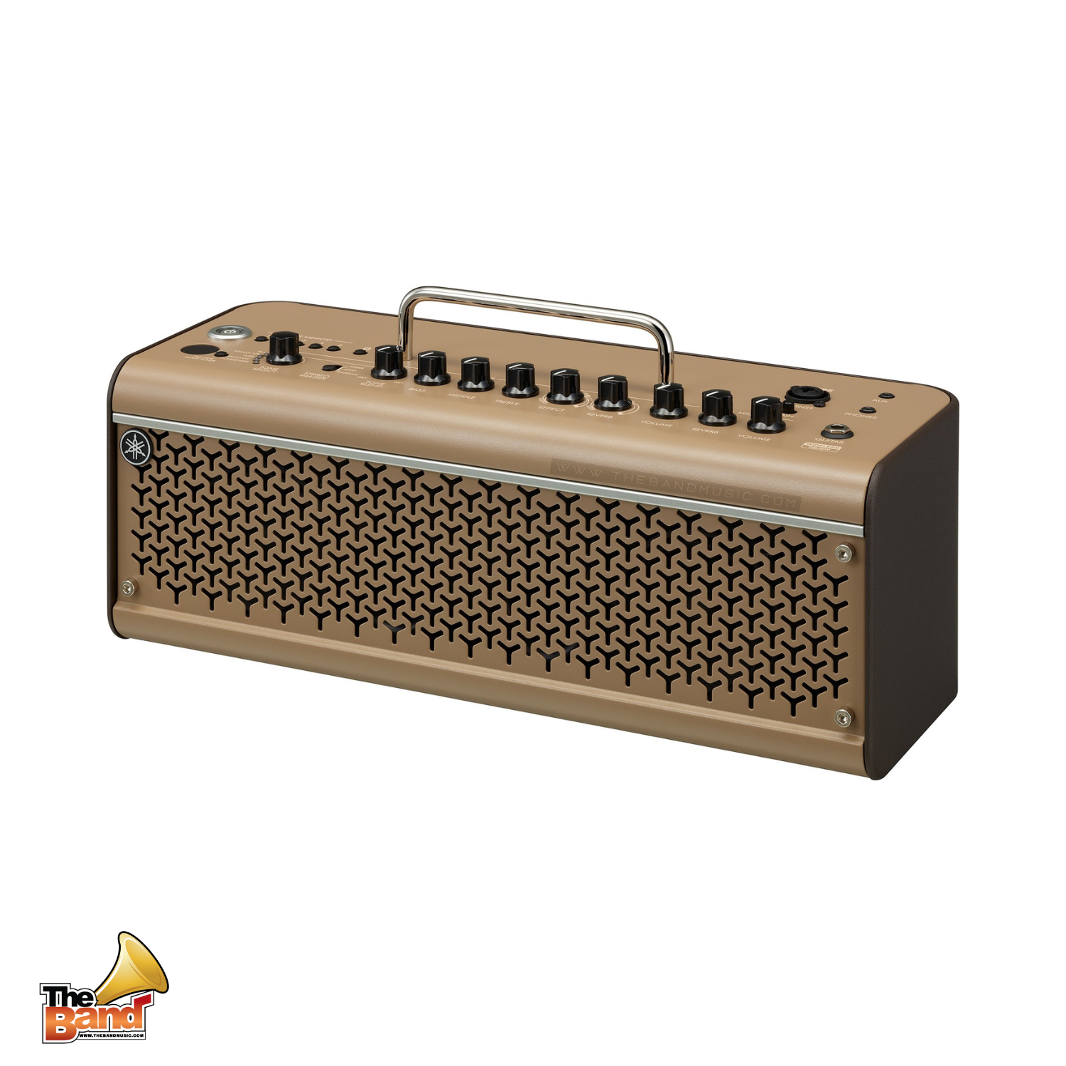 THR30IIA Wireless