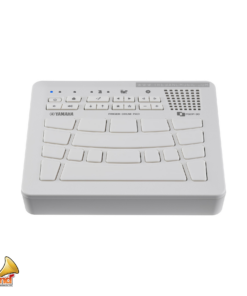 YAMAHA FGDP-30