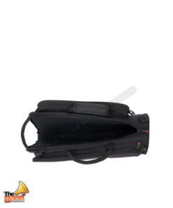 C249X (4)