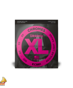 XL™ CHROME FLAT BASS STRING 45-100