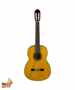 YAMAHA TRANSACOUSTIC CG-TA (2)
