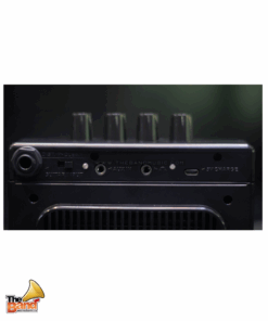 CALINE scuru S1 Mini Bass amp (3)